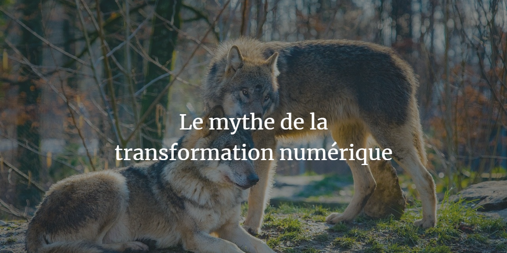 Le mythe de la transformation numérique
